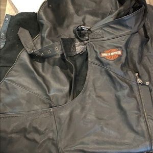 Harley Davidson chaps